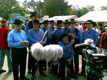 Harpistit Mäntyharjun JuhannusTV:ssä 2008